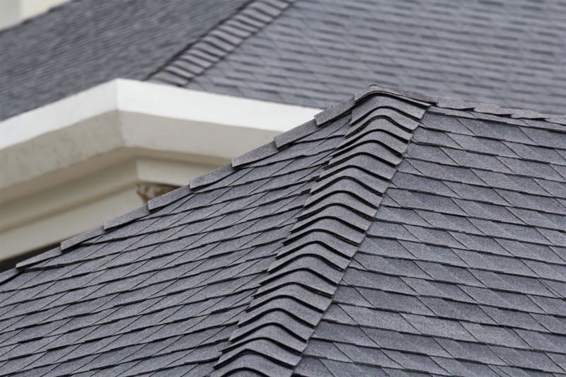 Shingle Roof Service