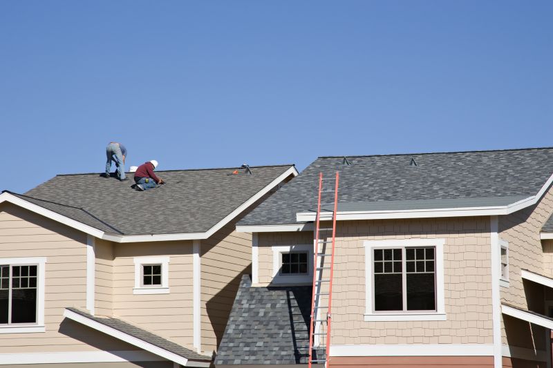Shingle Roof Service