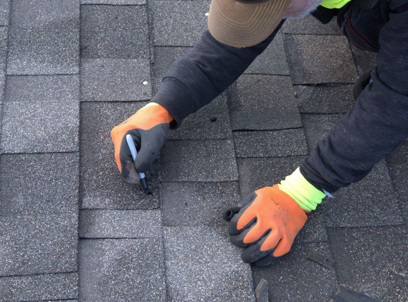 Shingle Roof Service