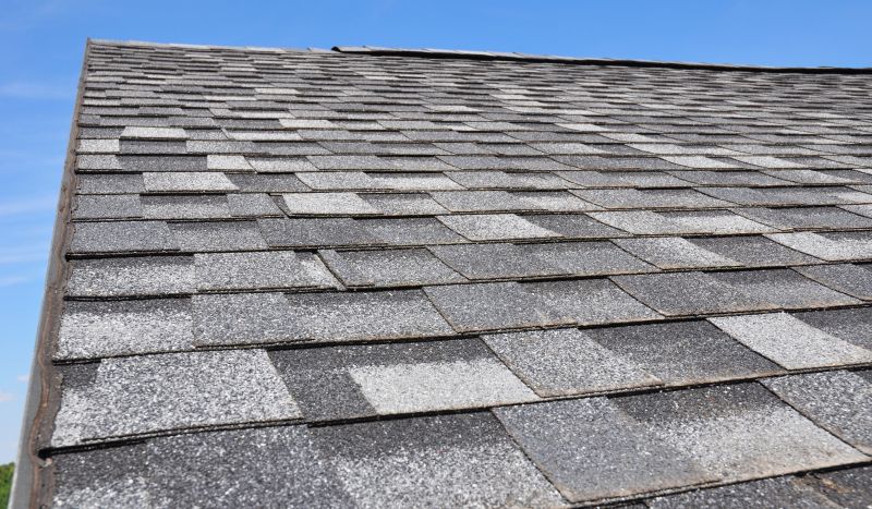 Shingle Roof Service
