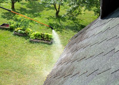 Shingle Roof Service