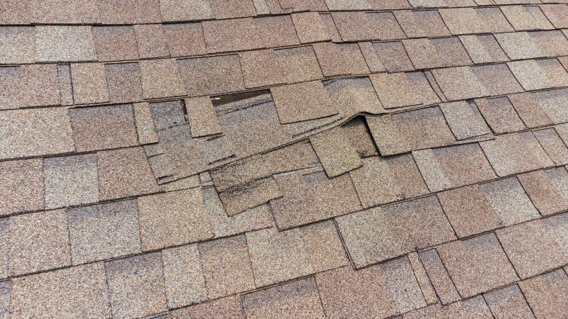 Shingle Repair Services