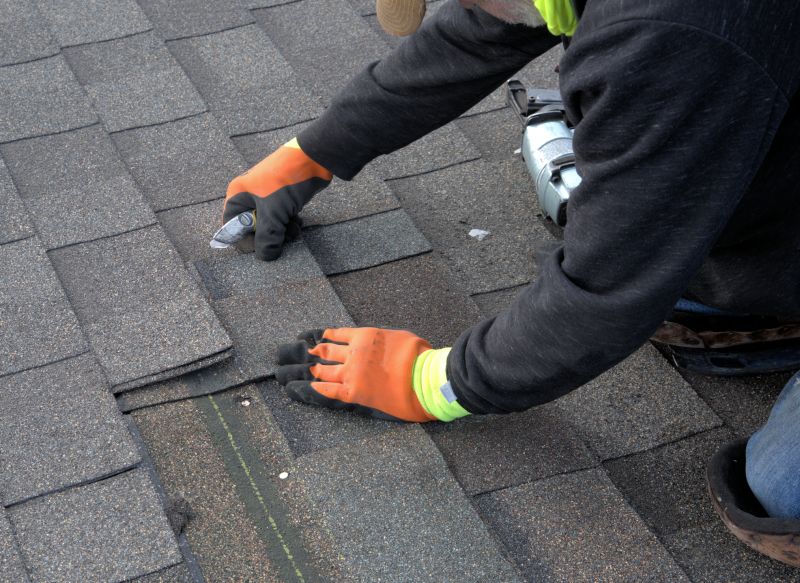 Shingle Roof Service