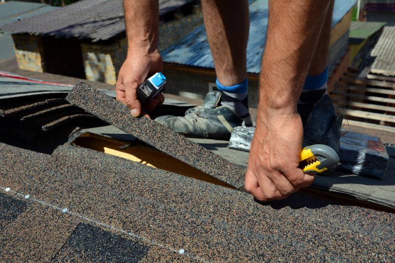 Shingle Roof Service