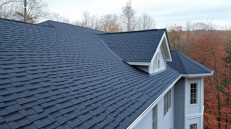Shingle Roof Service